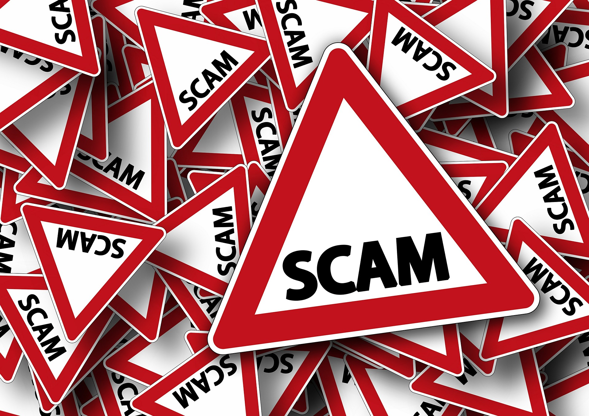 Red and white road signs with the word SCAM Pro Tax & Accounting Blog